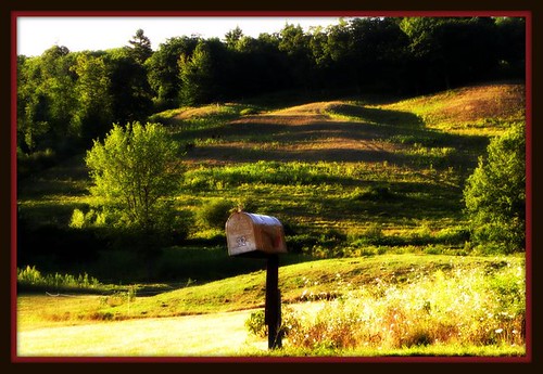 nature mailbox country