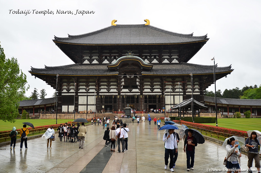 top places to visit in 2020 - Todaiji_Temple1