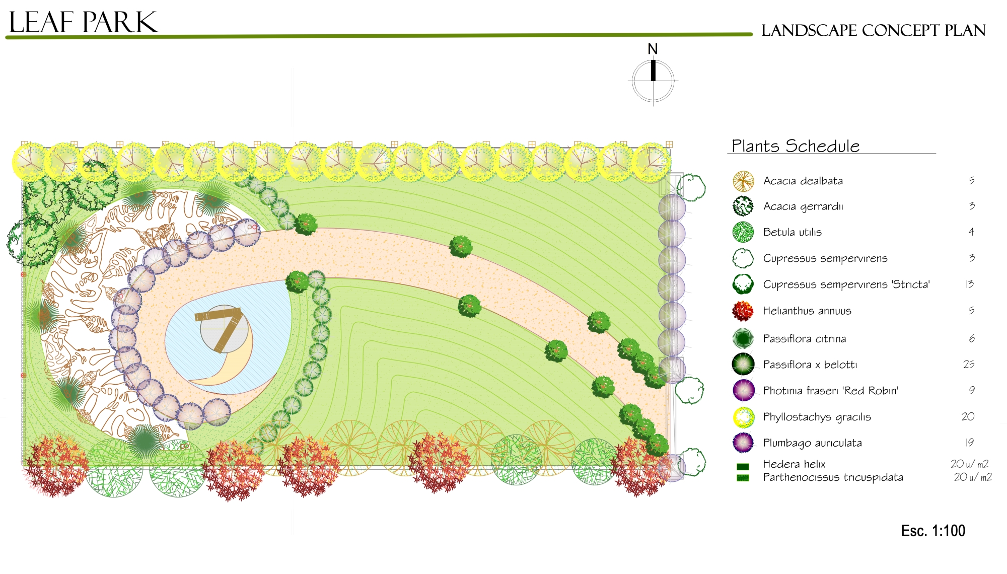 Leaf Park. Plants plan view and schedule.