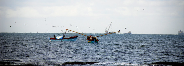 Sri Lanka gulf of mannar