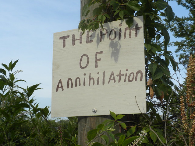 Annihilation: IS there any point?