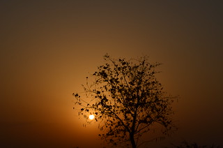 sunrise @thar desert