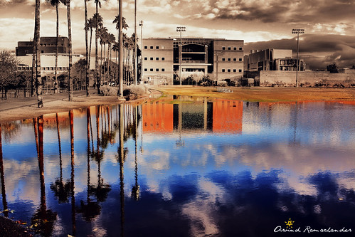 Palm Walk Reflections - HDR