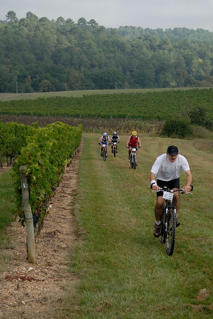 Randonnée des vignerons à vélo dans le vignoble de Buzet - Aquitaine