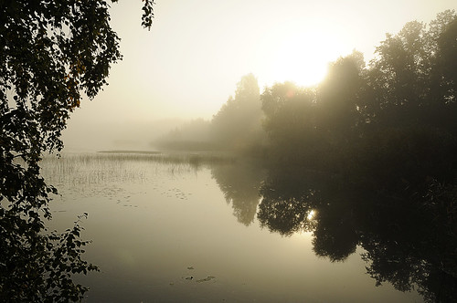 fog sunrise tuusulanjärvi gustavelund