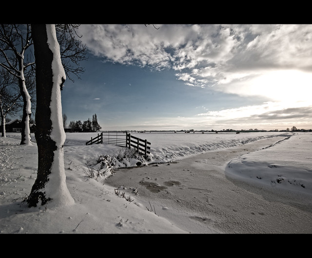 Winter landscape (Explore #8!)