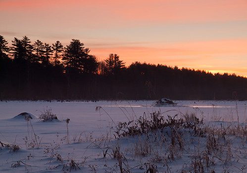 morning trees winter sky snow cold ice water forest sunrise landscape dawn frozen woods nh