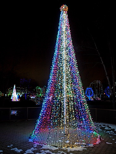 Tree of Lights | Tim Perdue | Flickr