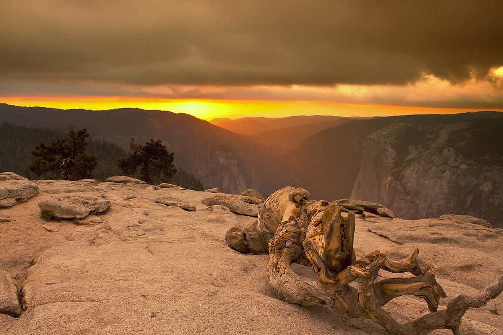 Jeffrey Pine Sunset | Yosemite Valley at Sunset looking ...