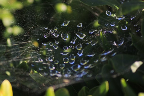 IMG_6010 | by avargasphoto