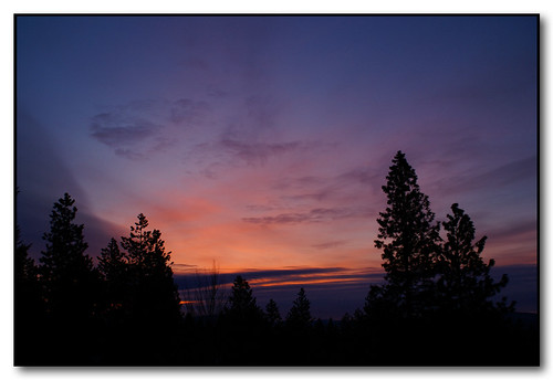 trees winter colors clouds sunrise washington spokane silhouettes