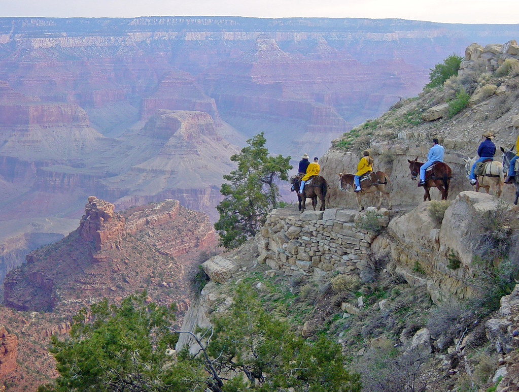 NPS Approves Stock Use Plan for Grand Canyon South Rim