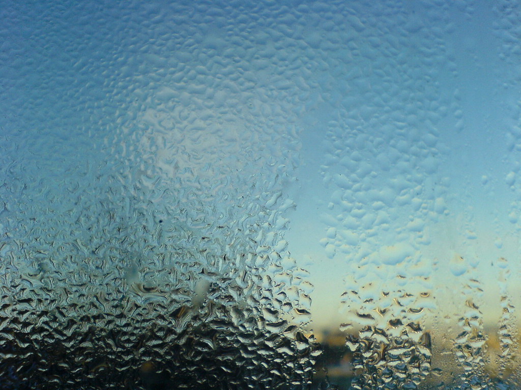 Condensation (afternoon)