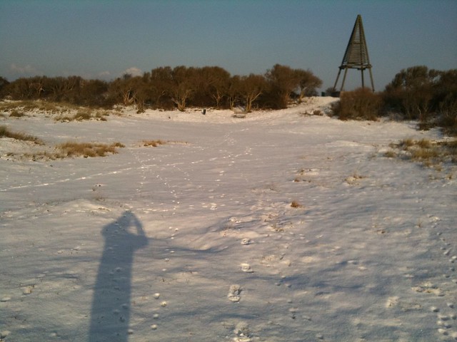 pure bliss: morning run across snow covered schiermonnikoog (to kobbeduin and back)