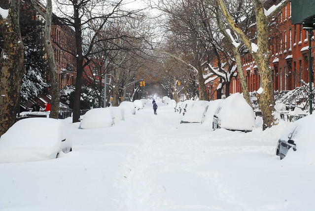 New York City Snow, December 2010