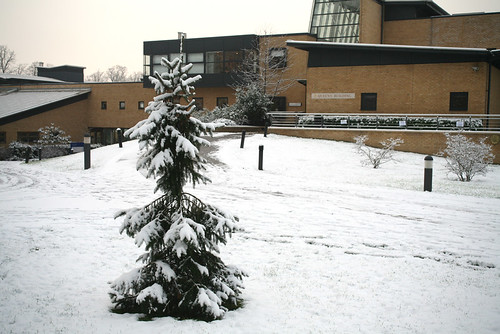 Southlands_in_snow