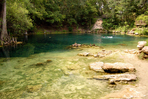 park water spring florida royal clear springs suwannee