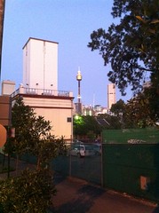 Sydney Tower at dawn