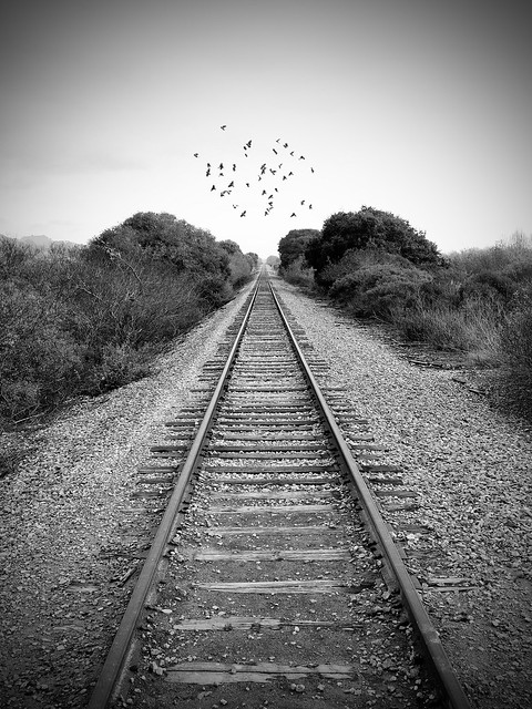 Down the Tracks