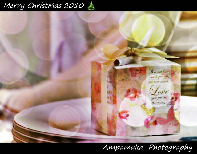 Merry Christmas For All My Flickr Friends / เมอรี่คริสต์มาส 2553 :D