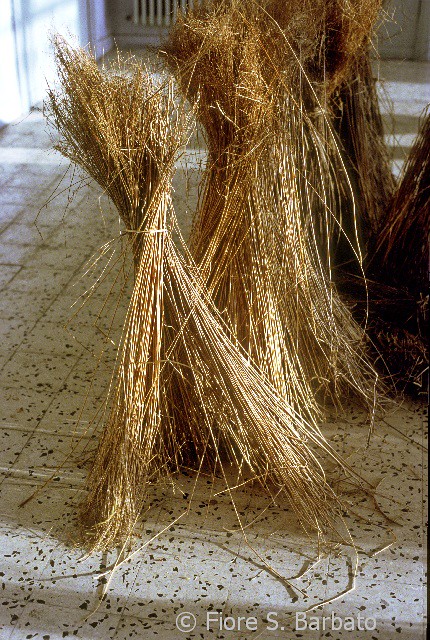 Morigerati (SA), 1995, Museo Agro-Silvo-Pastorale, ora Museo Etnografico: il lino.