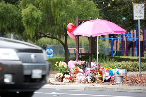 DSC_8526 by stephenkirsch, ROHNERT PARK, CA – DEC. 4: A pink umbrella shields a shrine to Calli Murray, 2, near the intersectio