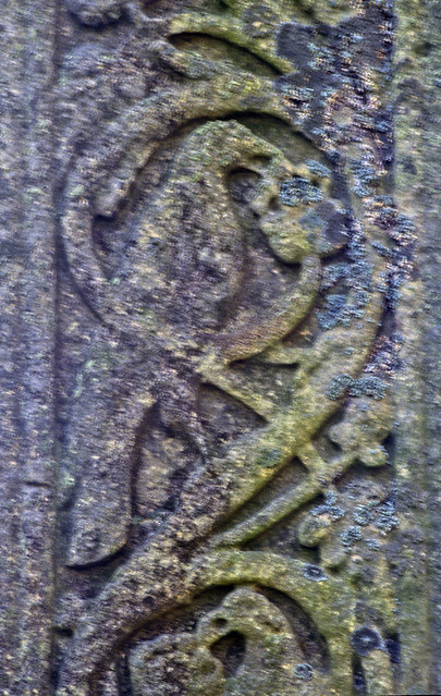 Bewcastle Cross, East face, bird in vine scroll
