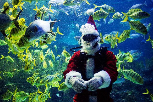 Santa Claus in The Aquarium | Aquaria KLCC