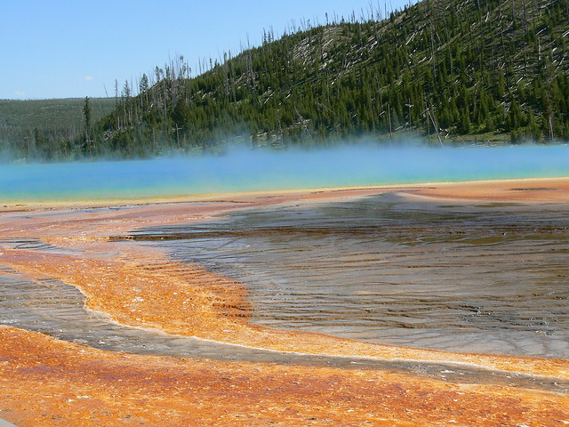 multi color mineral and bacterial deposits at edge of hot spring yellowstone wyoming wy