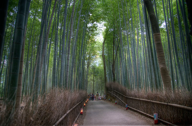 Bamboo Walk, Arashiyama