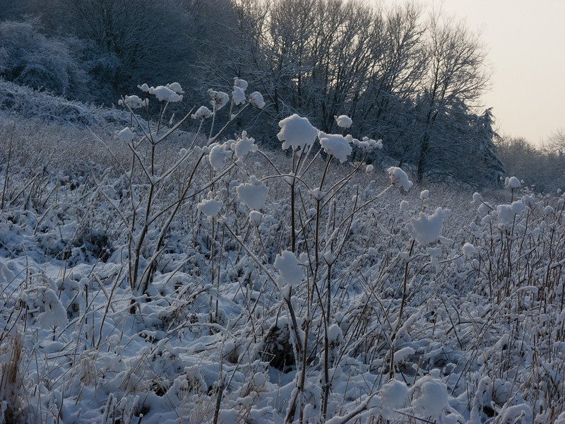 Smestow valley snowy landscape