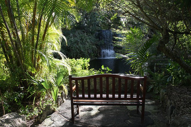 bahamas groves botanical garden palms bench