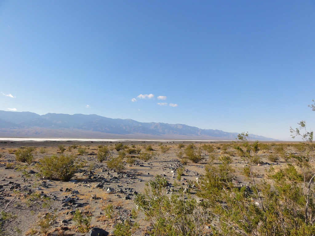 Willow Canyon