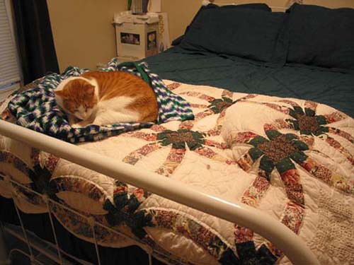 Funny, that quilt didn't have that shape a few minutes ago...