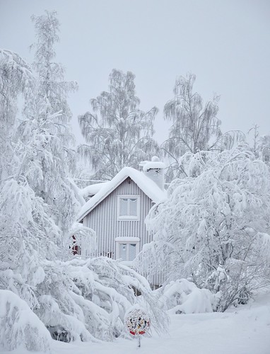 winter snow vinter sweden snö kalix