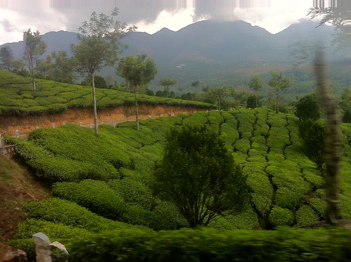 india tea iphone roadcam