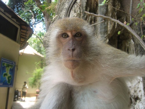 Krabi
