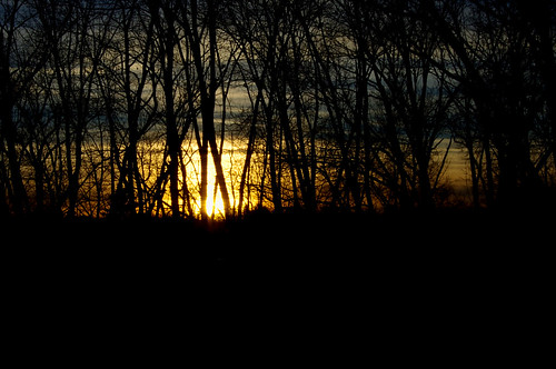 trees sunset nature silhouette pentaxkx