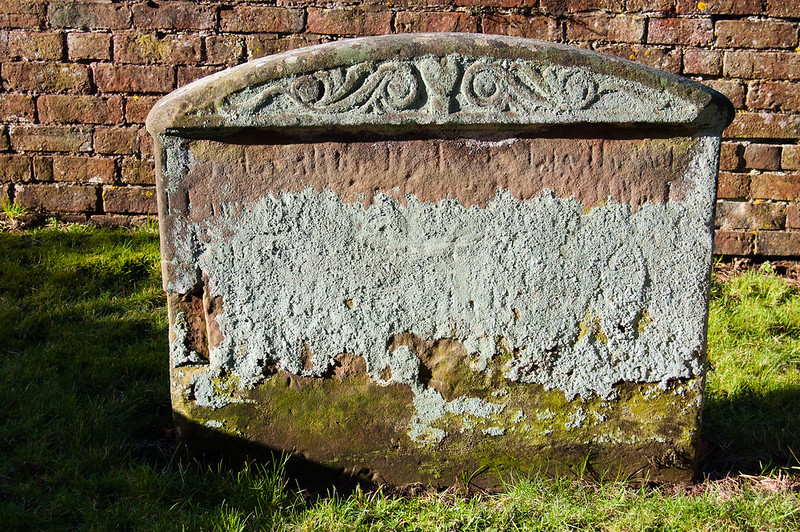Lichen: Enville churchyard