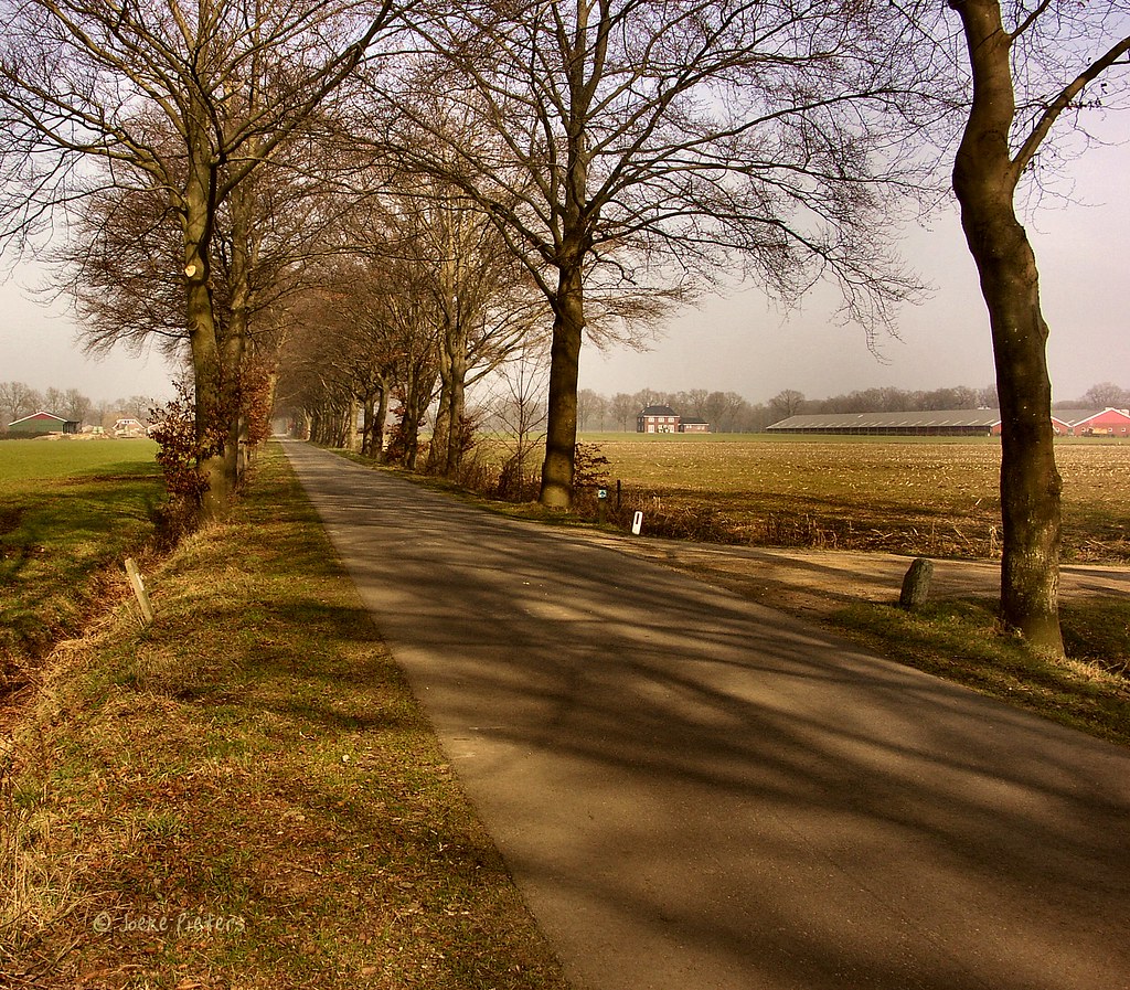 A rural road by joeke pieters