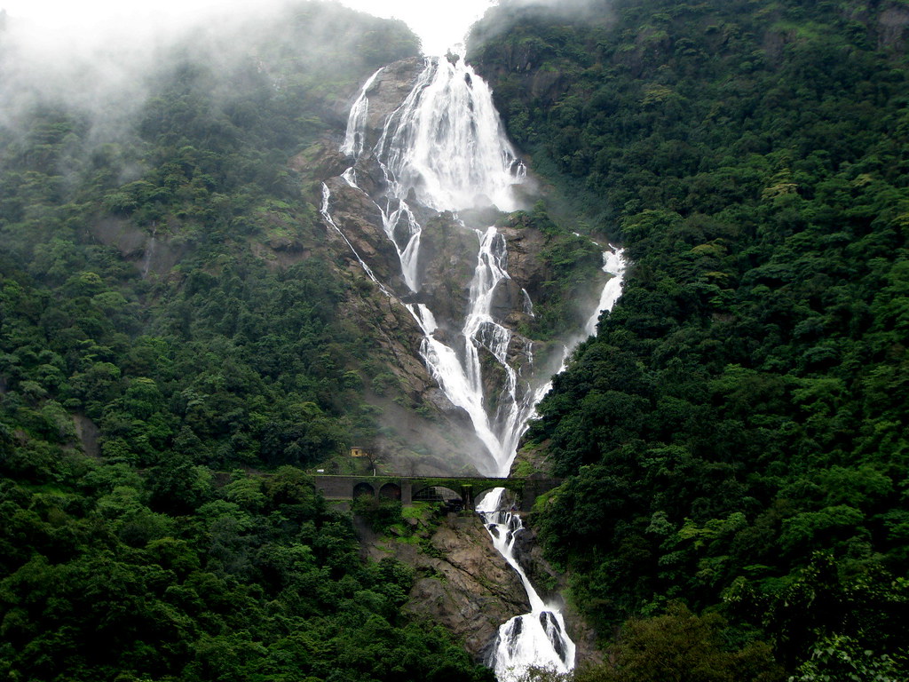 Is it milk or water? | That is Dudhsagar Waterfalls ( Dudh m… | Flickr