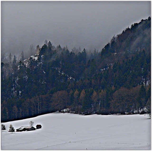 Renan, Canton of Bern in wintertime.February 6, 2009. No. 22.