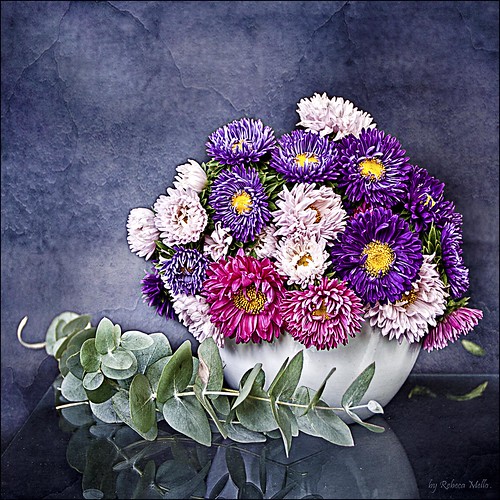 A small vase, colorful daisies .. by Rebeca Mello
