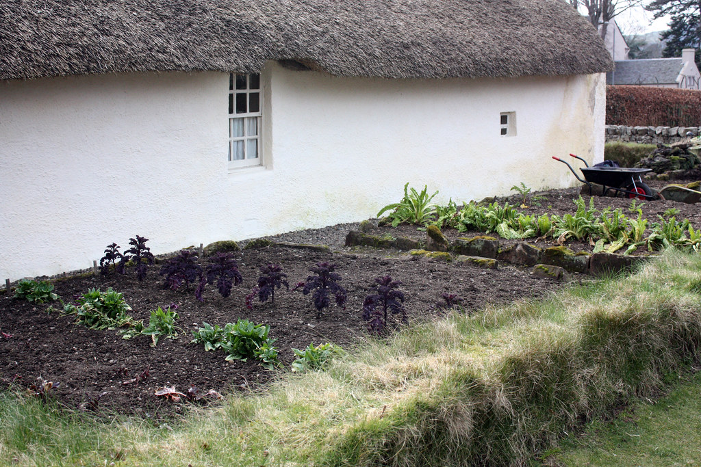Kale Yard | Robert Burns Birthplace Museum, Alloway, Scotlan… | Jenni ...