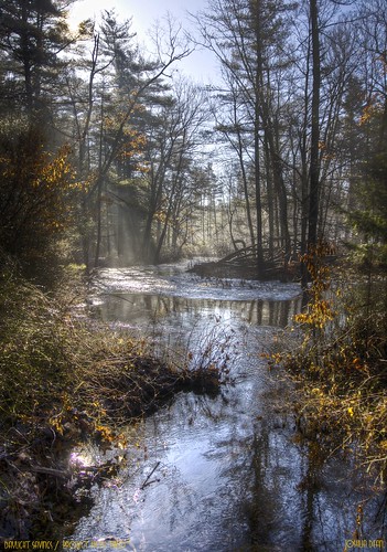 sun sunlight fog canon river eos spring stream massachusetts handheld beams hdr mothernature facebook xsi lightroom prickers engorged photomatix 3exp sigma1770mm 450d projectfiftytwo2