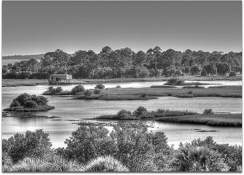 travel winter vacation blackandwhite bw usa white seascape black tower tourism gulfofmexico water canon landscape march us gulf view florida getaway web northamerica fl marsh fla cedarkey birdseyeview levy allrightsreserved gulfcoast towerview copyrighted 2011 canoneos30d michellepearson websized naturecoast mickip mickip65 030311 img234 20110303 03032011 mar032011 filmck