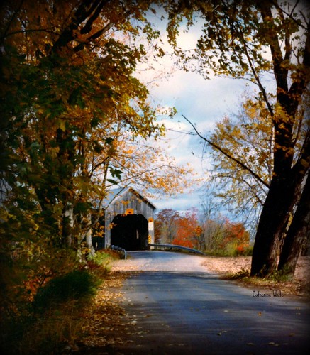 autumn rural landscapes bridges atlanticcanada