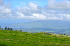 Maui drive up Heleakala National Park