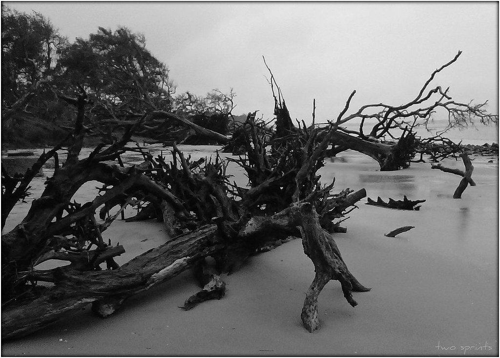 North End on Jekyll Island, GA (black and white) by Two Sprints