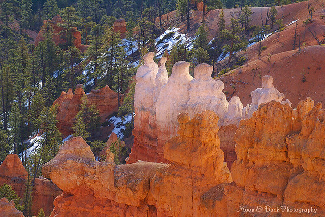 BRYCE CANYON ... Look To The Sun ...